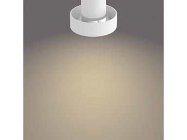 bukko-plafondlamp-4x-43-w