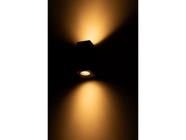 2x-leds-light-buitenlamp-san-diego-gu10-ip44