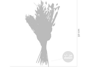 droogbloemen-veldboeket-50-cm
