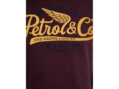 petrol-classic-print-hoodie-heren