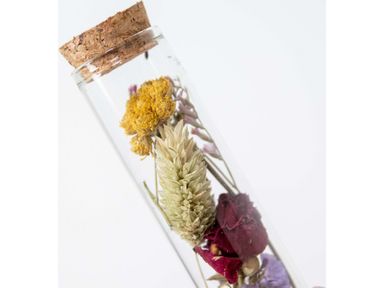 droogbloemen-in-glas-10-cm