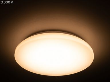 2x-lampa-sufitowa-leds-light-12-w-27-cm