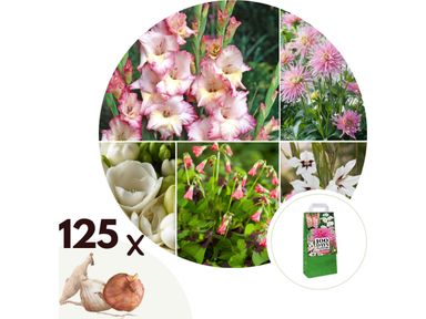 125-bloembollen-rozewitte-zomerbloemen