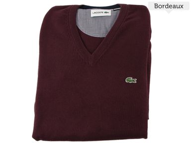 lacoste-sweater-100-katoen