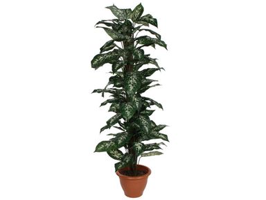 kunstplant-dieffenbachia-150-cm