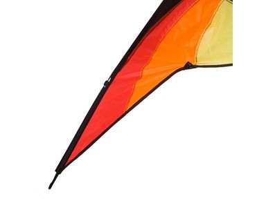 rhombus-fox-rainbox-vlieger