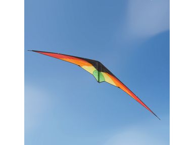 rhombus-fox-rainbox-vlieger