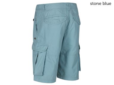 shoreway-ii-shorts