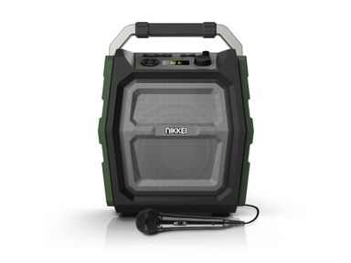 nikkei-speakerboxx-300-30-w
