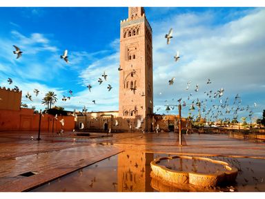 8-dagen-marokko-vlucht-autohuur