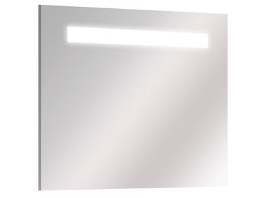 spiegel-horizontaal-fluo-80-cm
