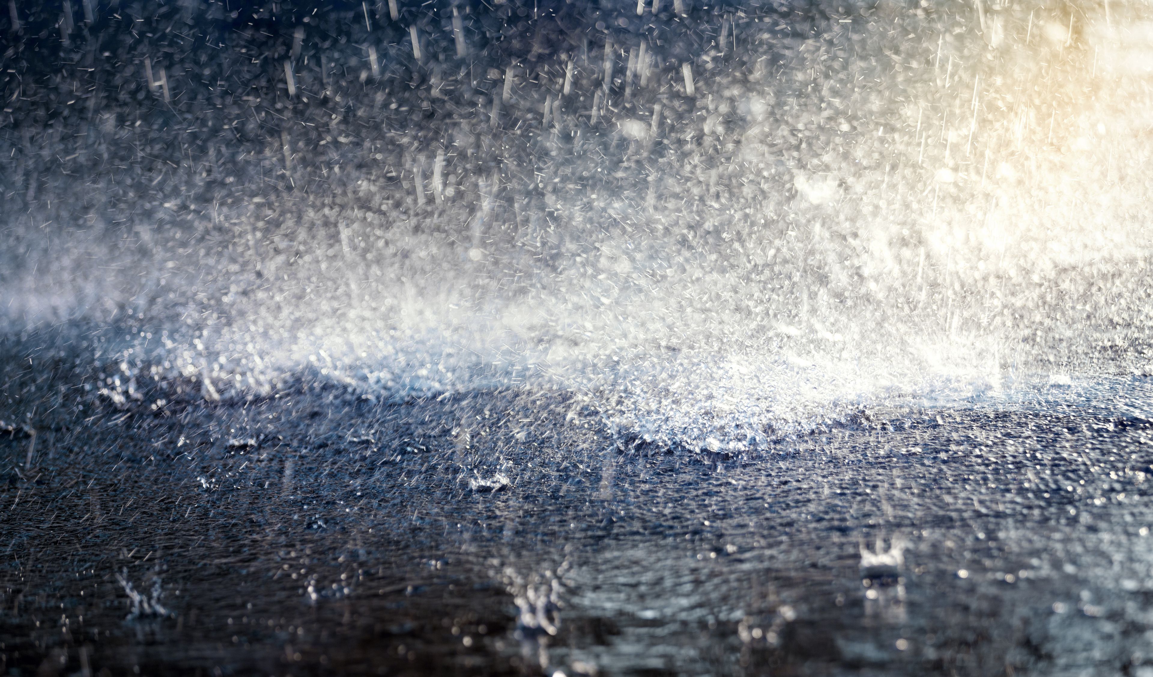Hondenweer? Wij houden je droog