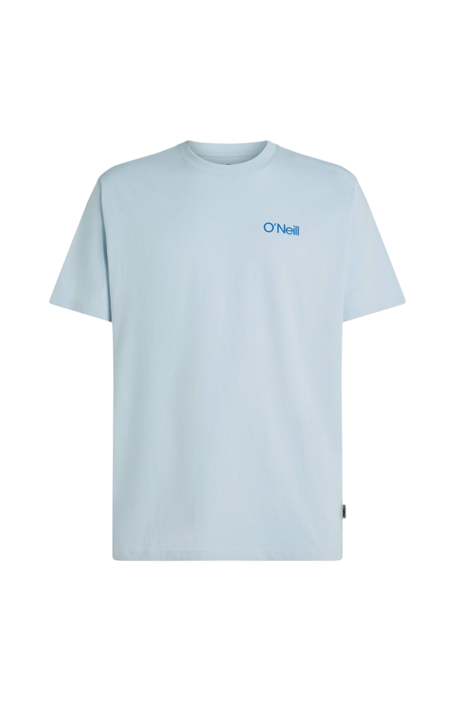 O'Neill Polygiene Graphic T-Shirt, Heren