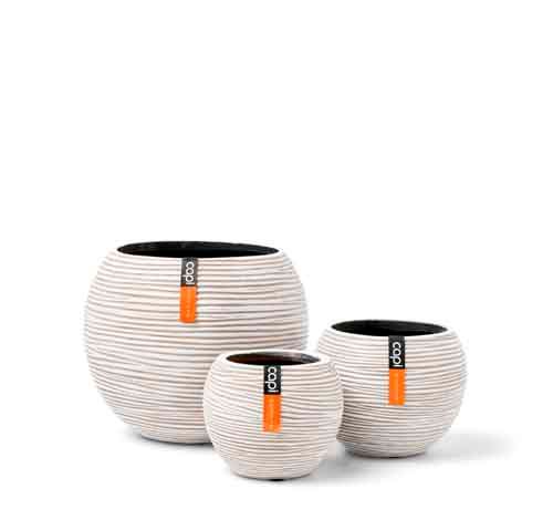 Capi Europe Nature Rib, Set van 3