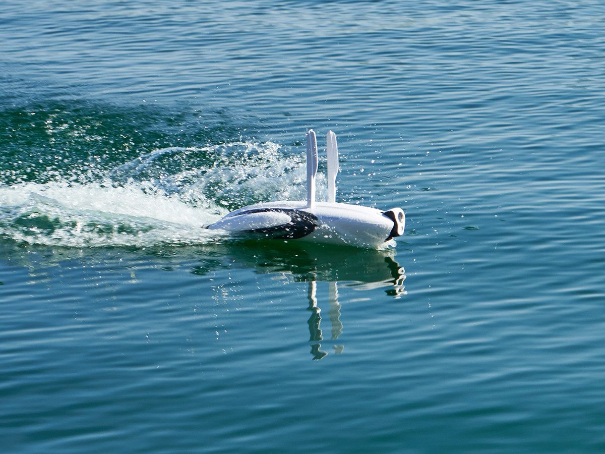 powervision-dolphin-explorer-unterwasserdrohne