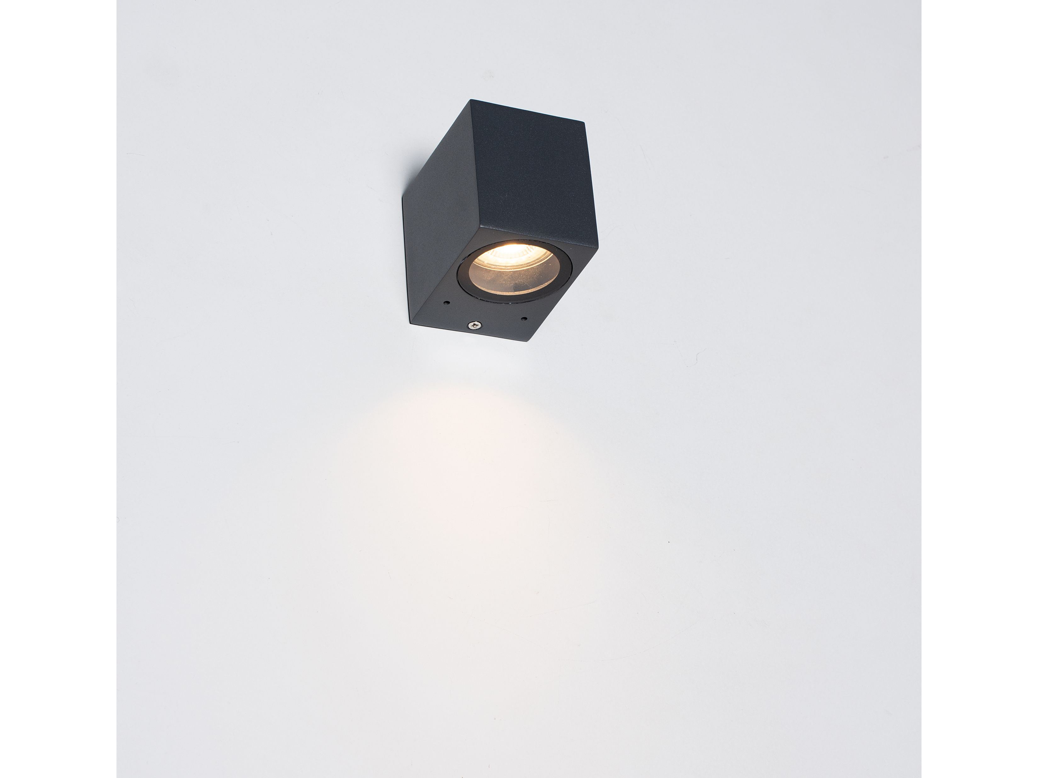 2x-leds-light-buitenlamp