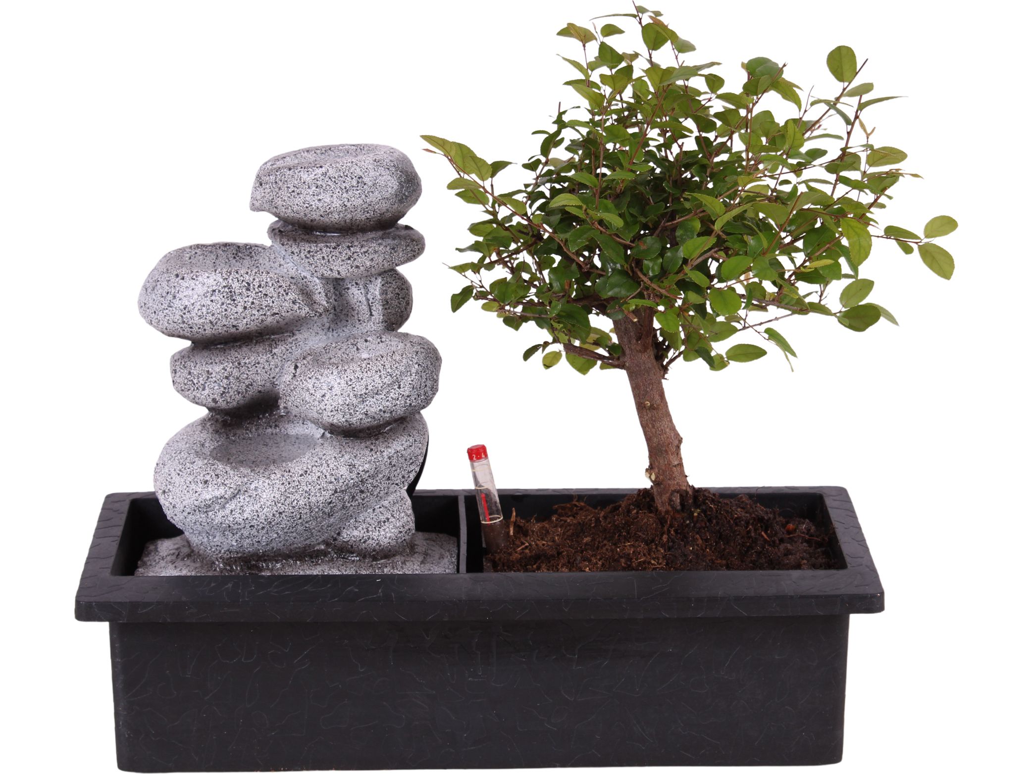bonsai-mit-wasserfall-steinen-2535-cm