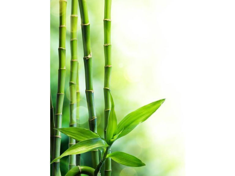 9-paar-apollo-fulinge-aus-bambus-unisex
