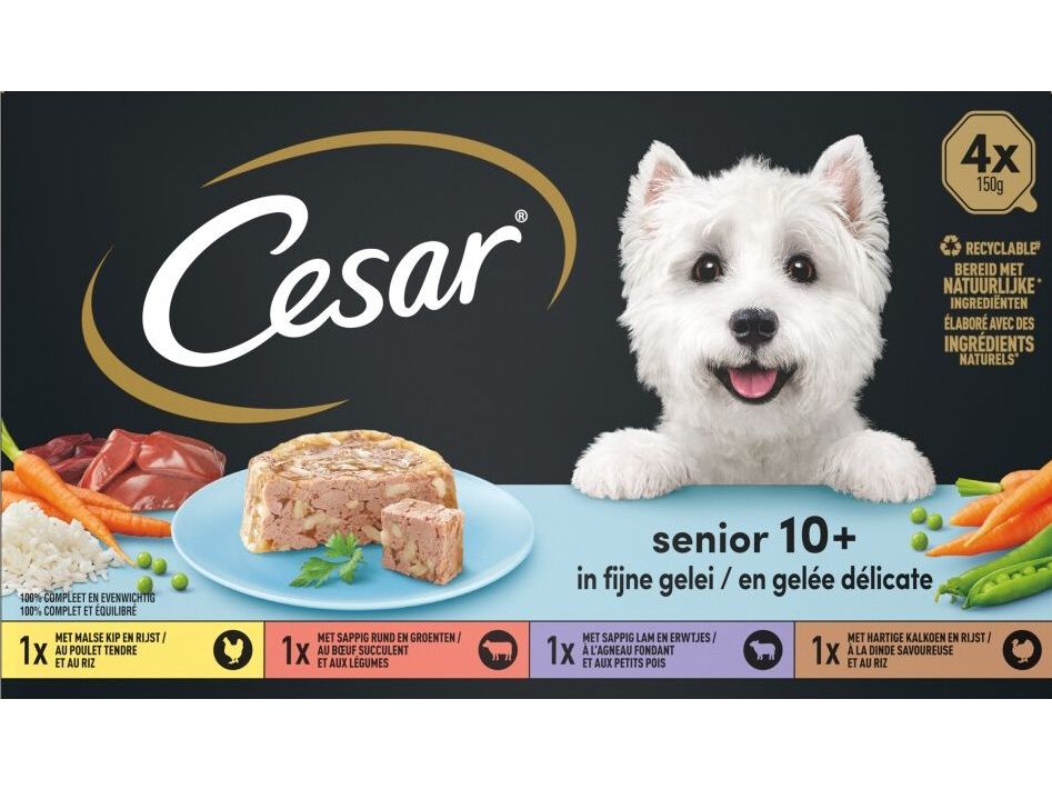 24x-cesar-hondenvoer-senior-10-mix-in-gelei-kuipjes-150g-product-0