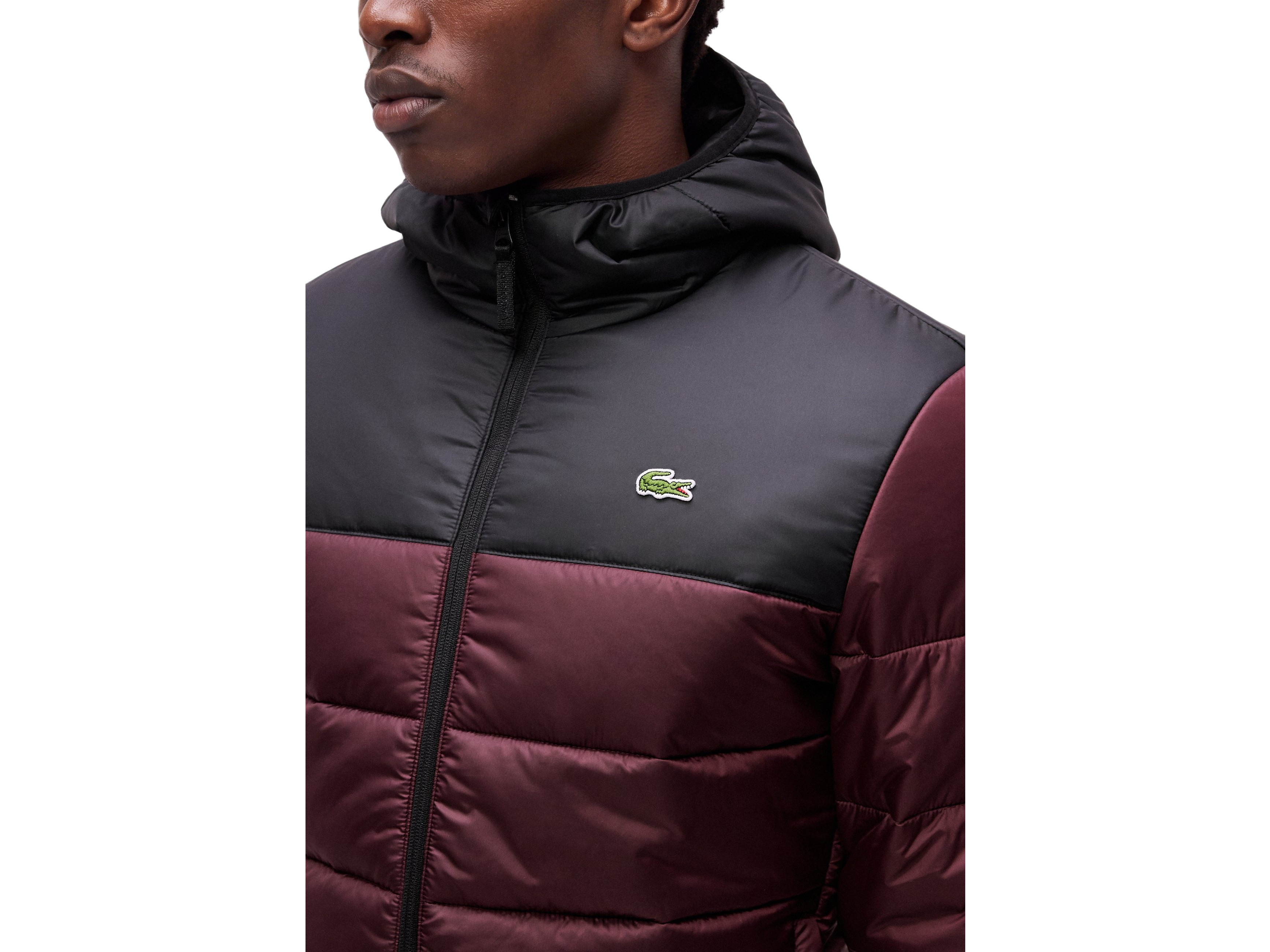 50-black-oxalis-z8s-bh6763-63-1hb1-men-s-jacket-09-lacoste-product-0