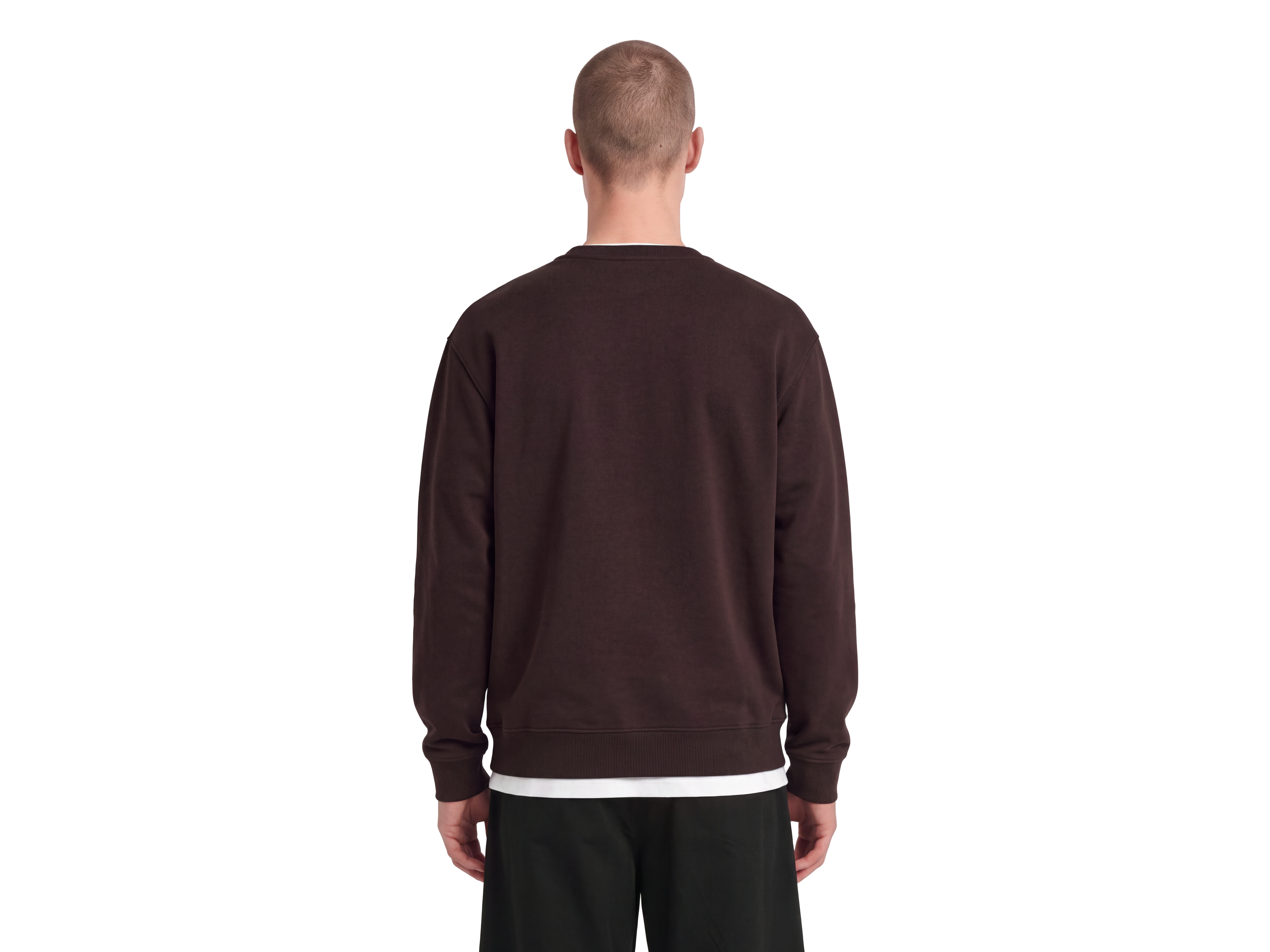 l-w977-shelter-brown-ml2440vb-crew-neck-sweatshirt-lyle-scott-product-0