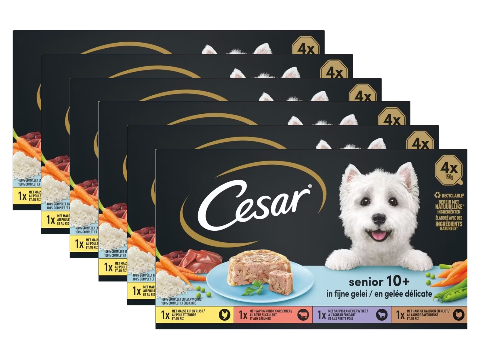 cesar-01-png-product-1