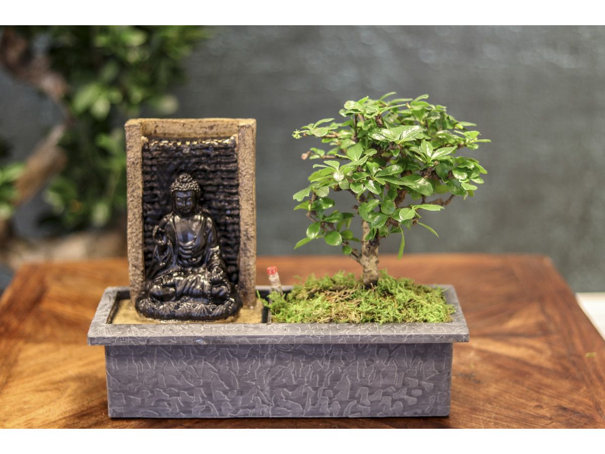 bonsai-mit-wasserfall-buddha-2535-cm