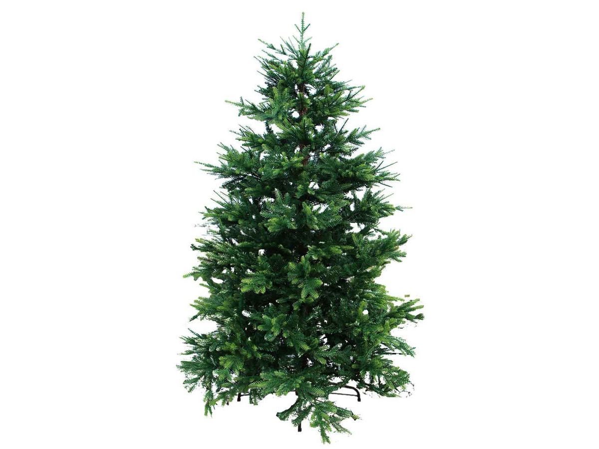 weihnachtsbaum-orlando-210-cm