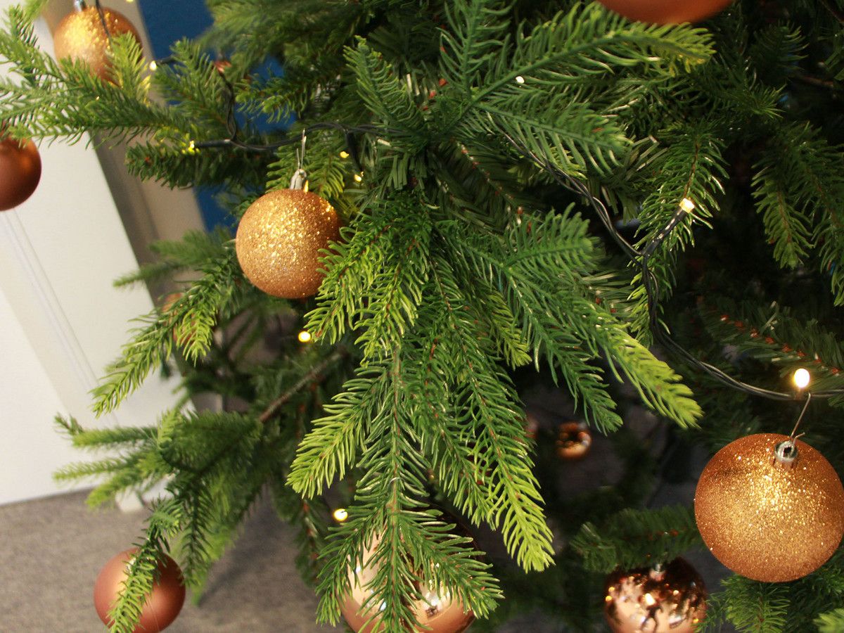 orlando-kerstboom-210-cm