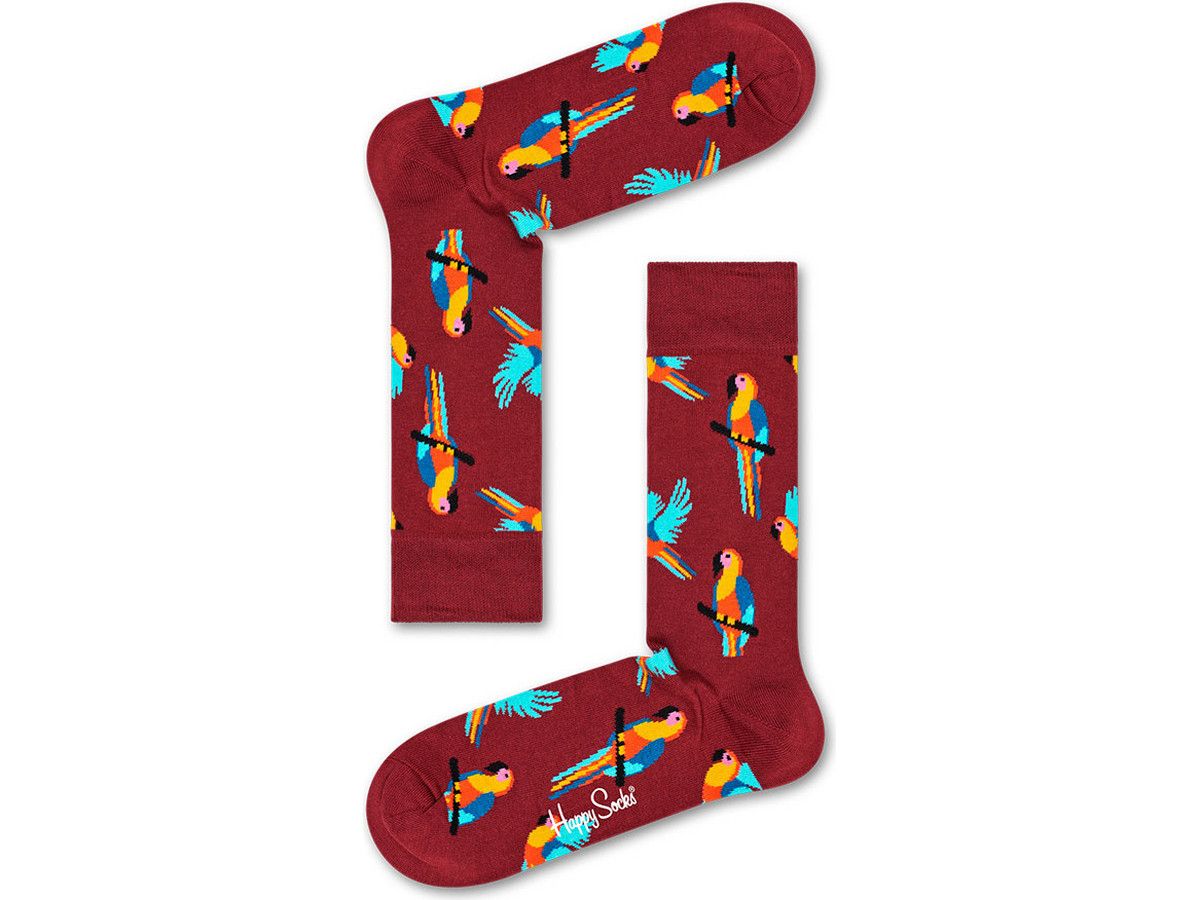zestaw-happy-socks-special-parrot-41-46-cm