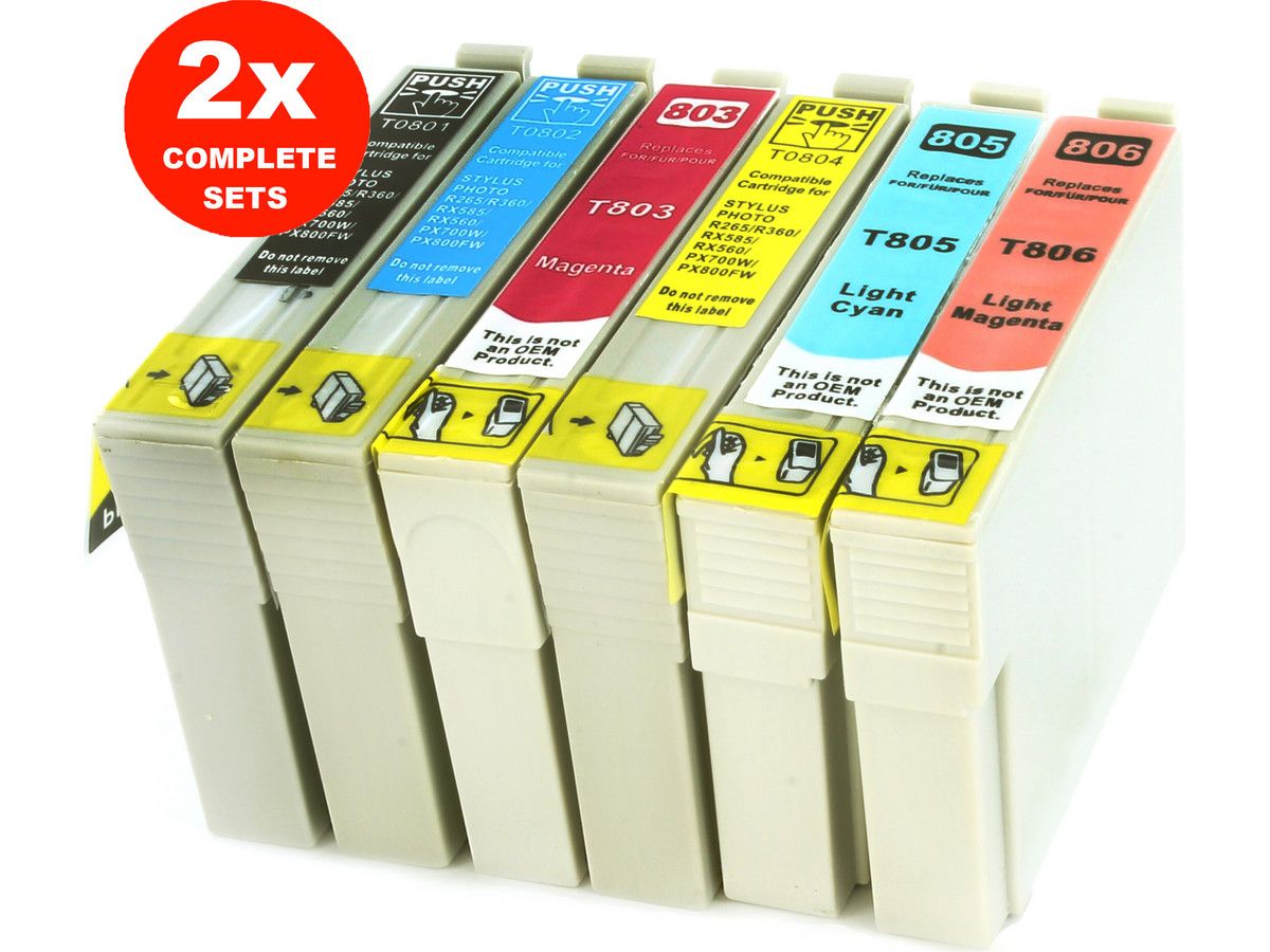 2x-cartridges-voor-epson-t080123456