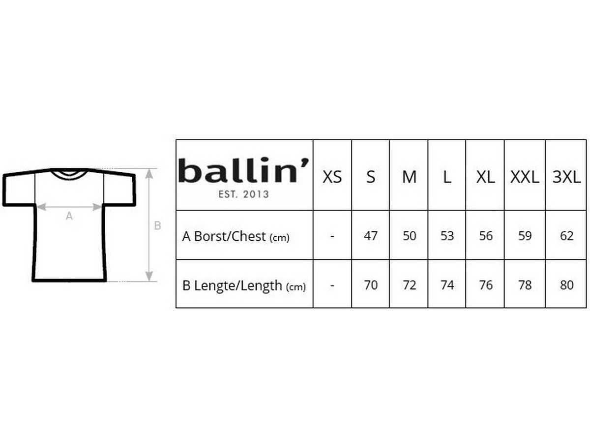 koszulka-ballin-est-2013-small-logo-meska
