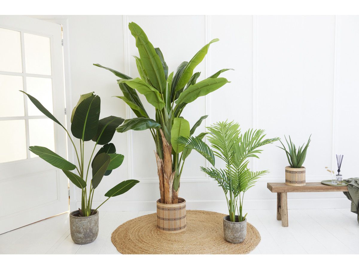 lifa-living-kunstplant-bananenplant