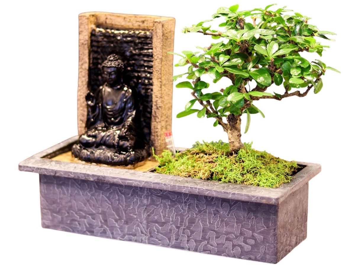 bonsai-met-waterval-buddha-25-35-cm