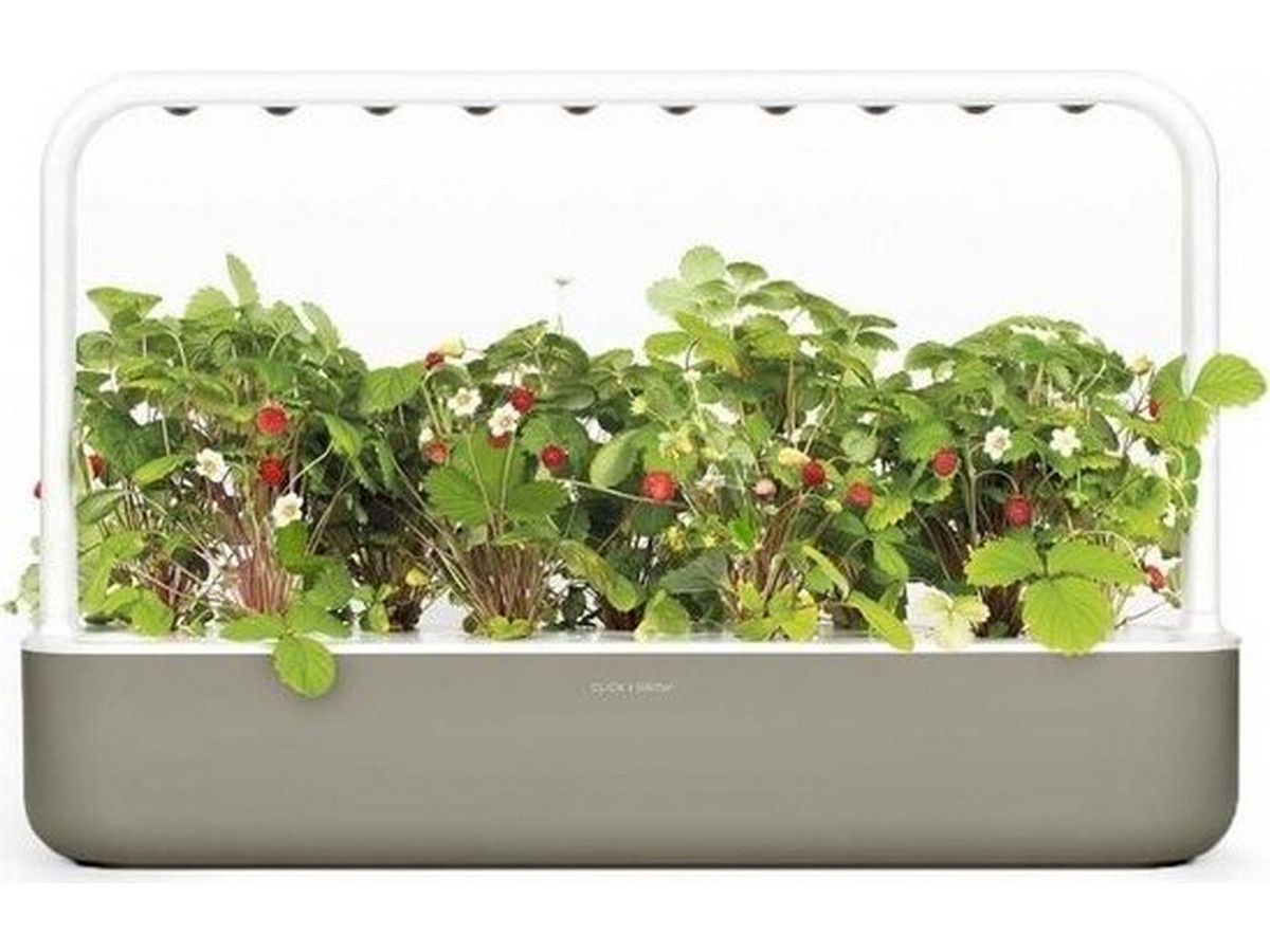 smart-garden-9-click-grow
