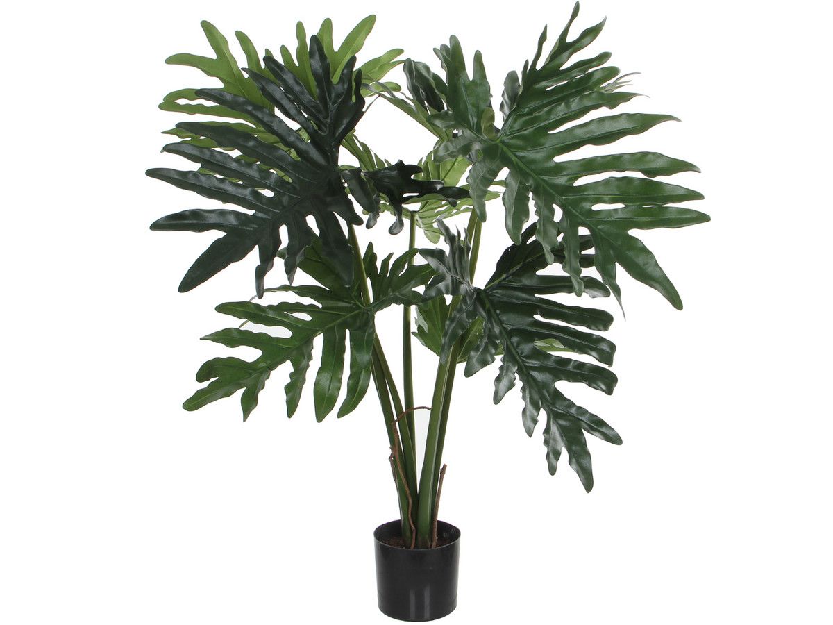 kunstpflanze-philodendron-h-80-cm