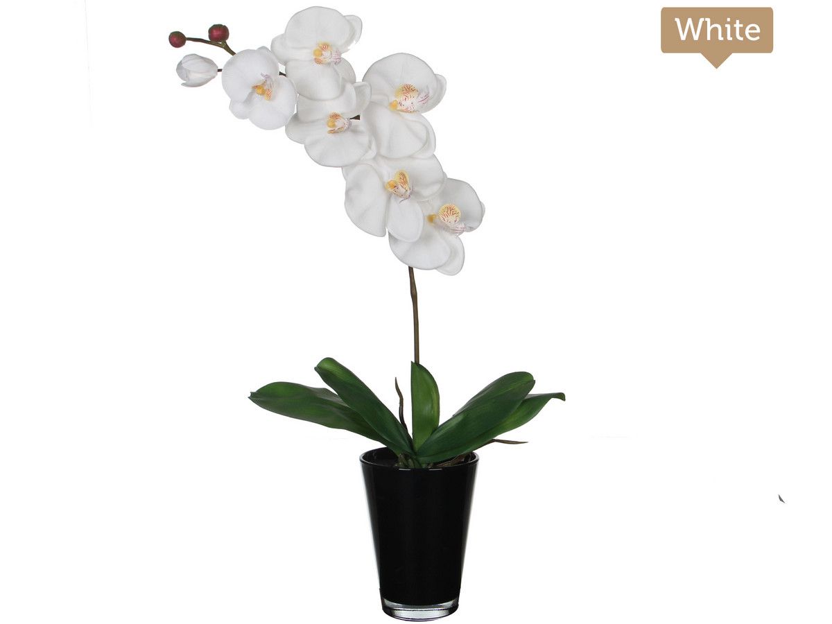 2x-kunstpflanze-phalaenopsis-65-cm