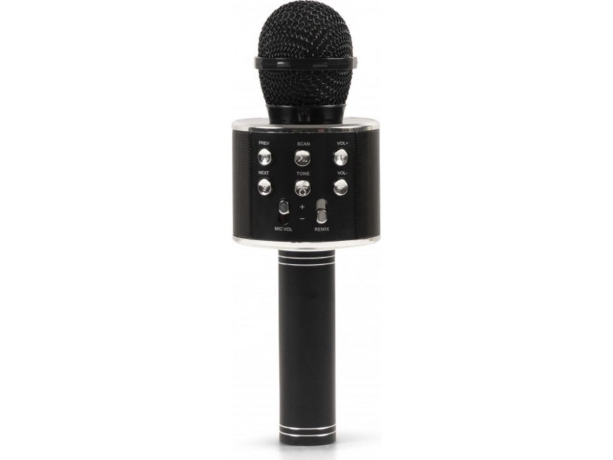 silvergear-karaoke-mikrofon