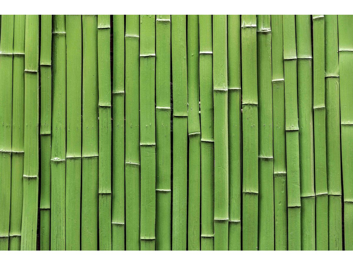 2x-seashell-bamboo-hoofdkussen-60-x-70-cm