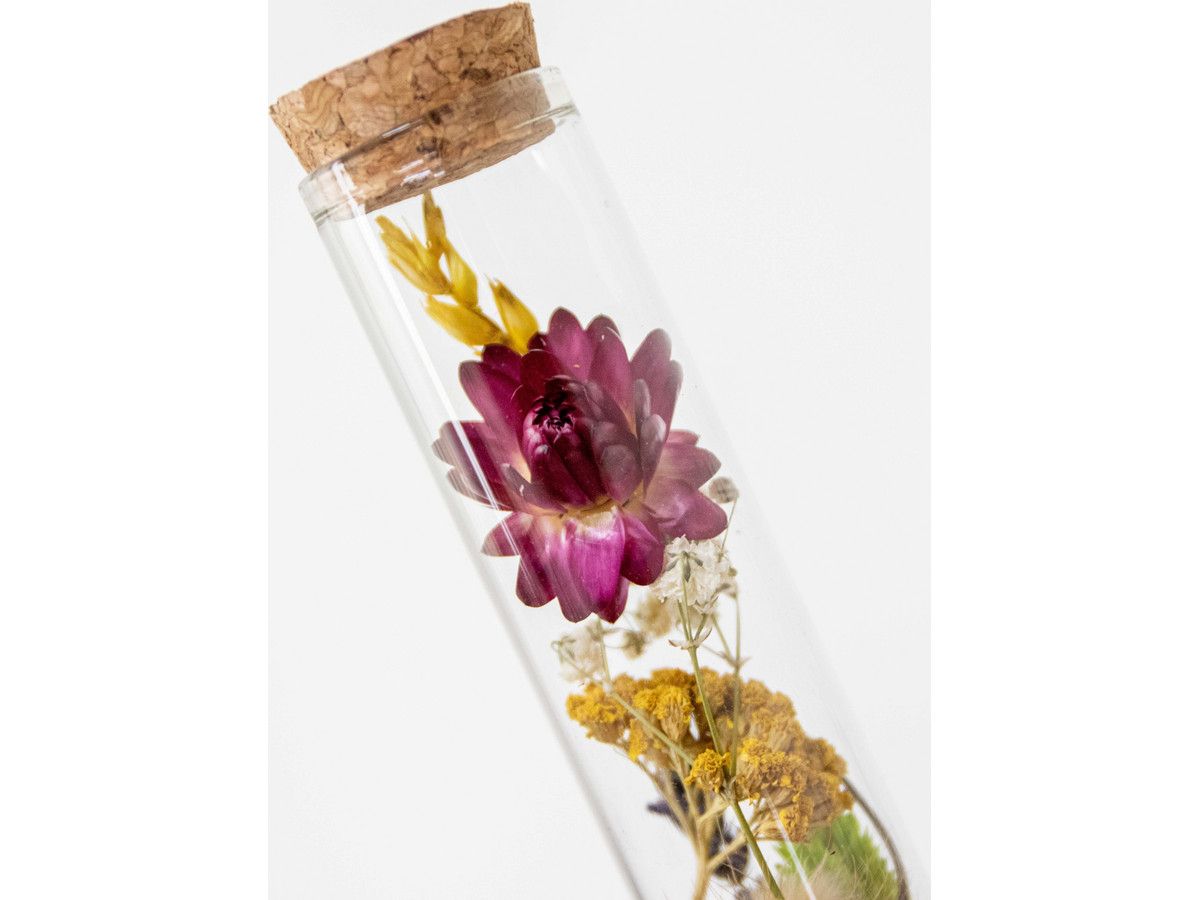trockenblumen-im-glas-3-teilig-15-cm