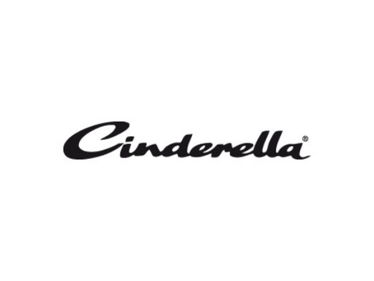 cinderella-dance-4-jahreszeitendecke-200-x-200