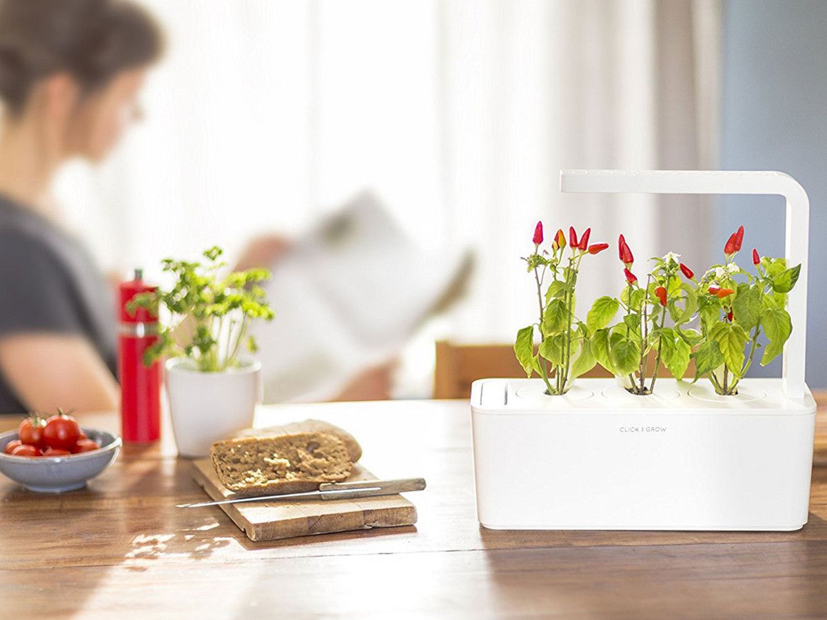 click-grow-smart-herb-garden