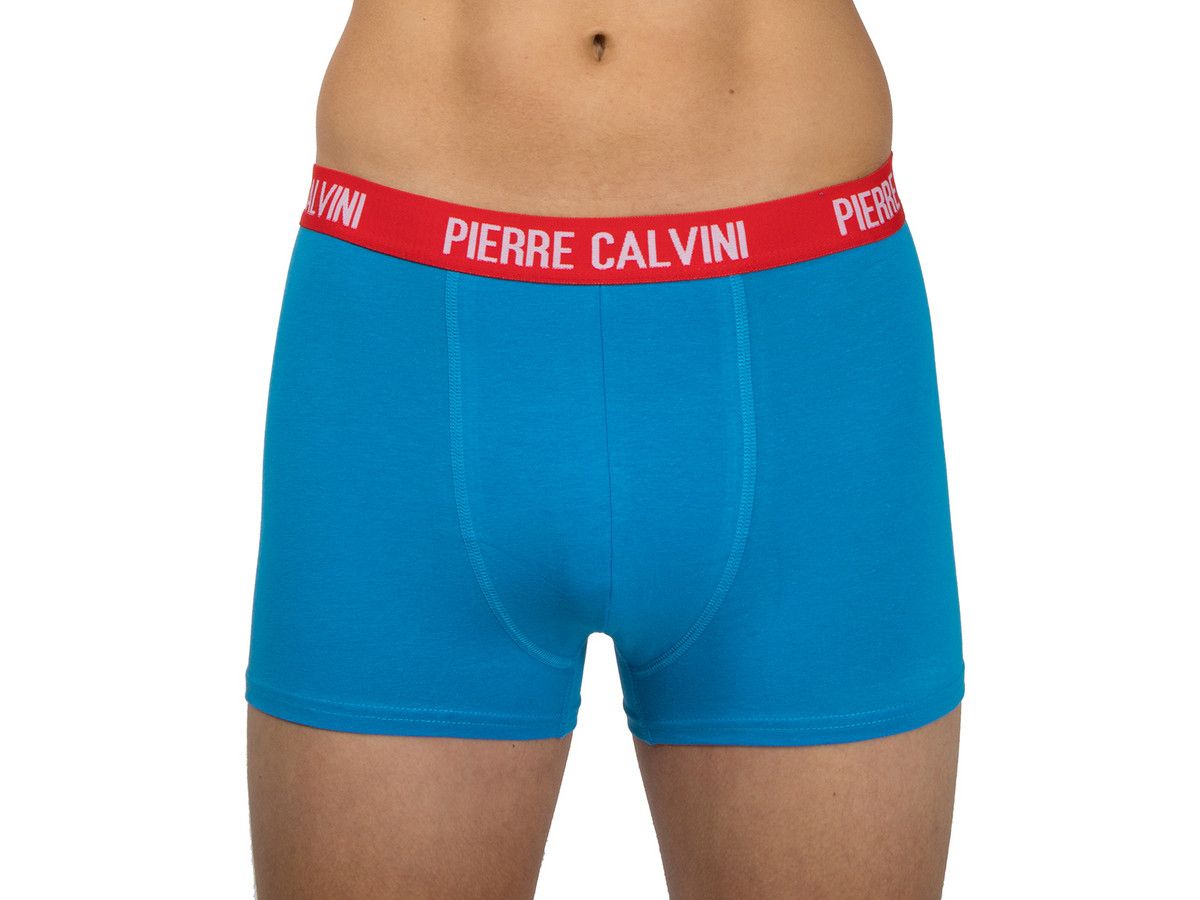 12-stuck-pierre-calvini-boxershorts-unterhosen