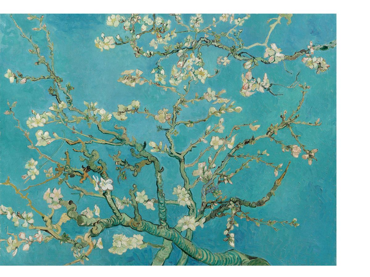 almond-blossoms-van-gogh-60x80