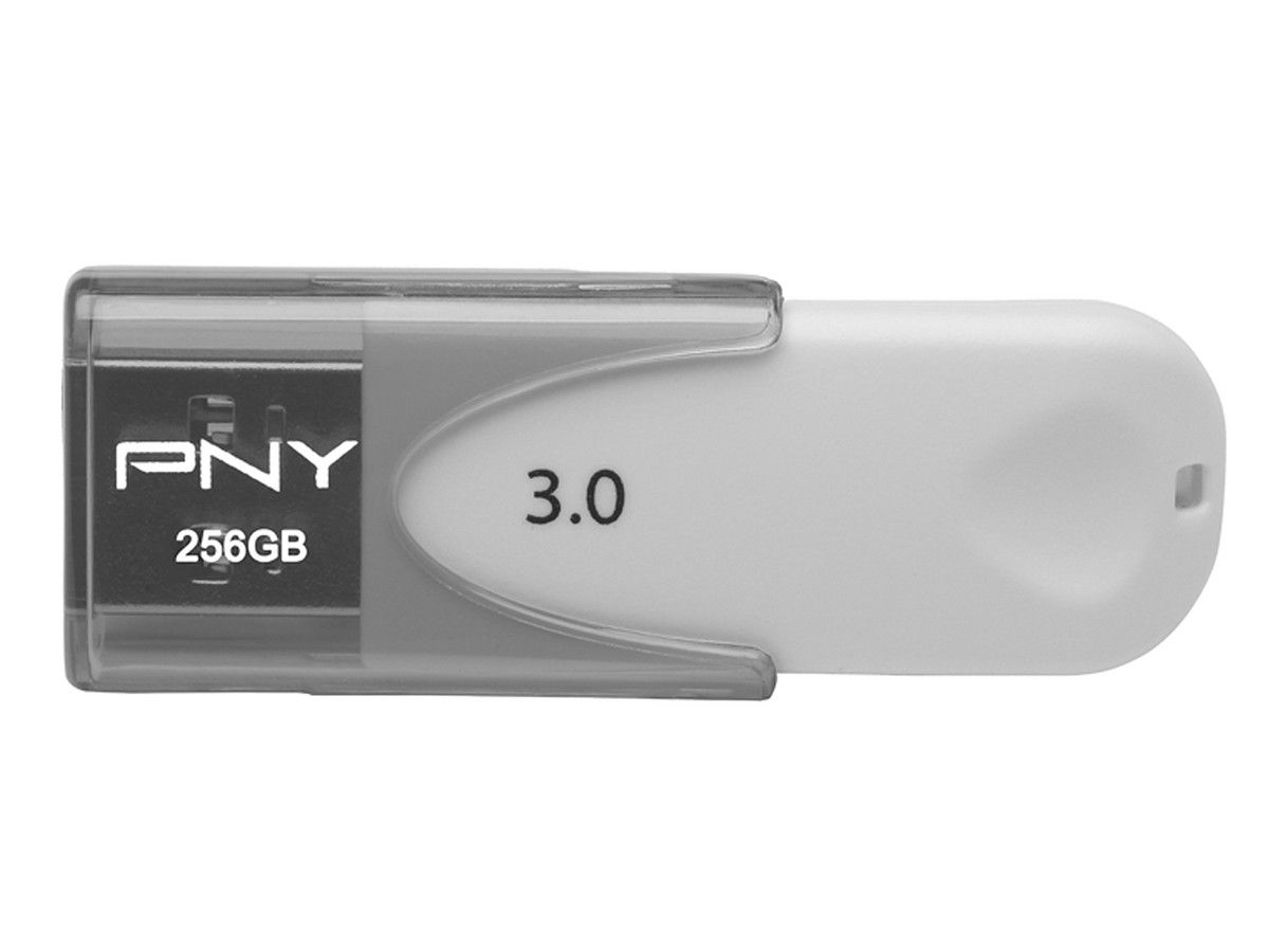 pny-usb-30-stick-256gb