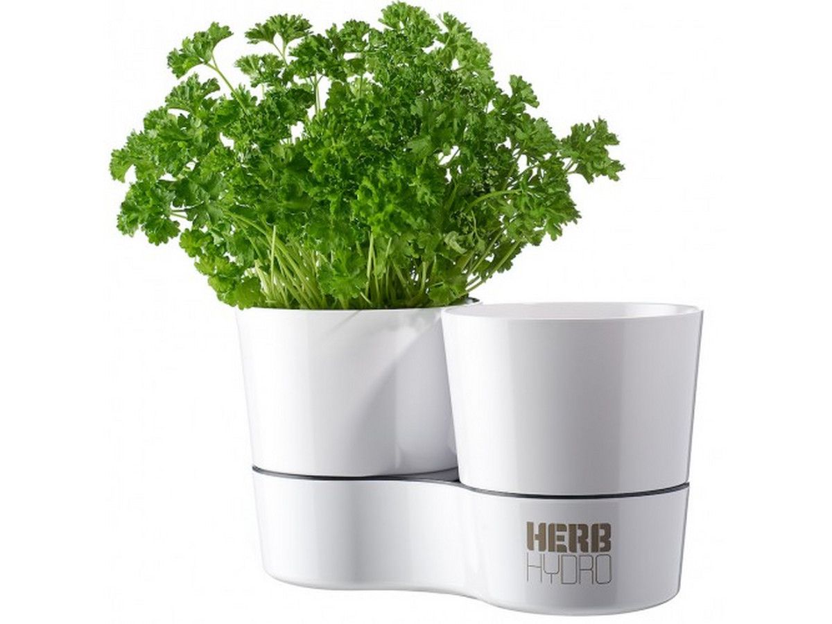 herb-hero-krauterpflanzen-wachstumsset