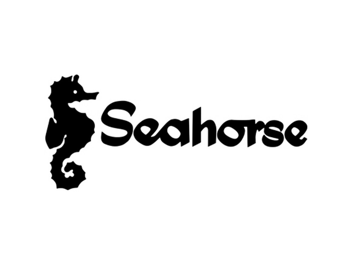 seahorse-strandtuch-stern